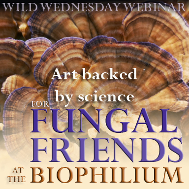 fungal friends
